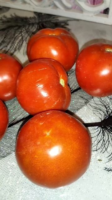 Лучшие томаты 2023 для ОГ смотреть онлайн