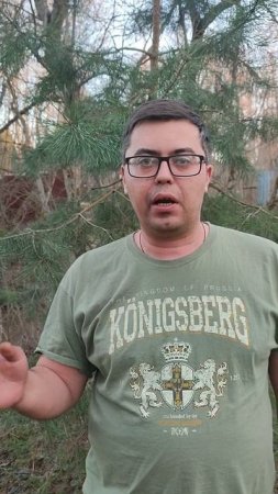 Новые правила утилизации 2025: что теперь сдавать нельзя?