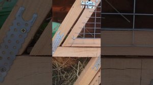 Кролики. Клетка Золотухина. Часть 3. Финал