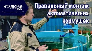 Как правильно установить кормушку в УЗВ #рыба #узв #бизнесвдеревне