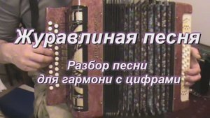 Журавлиная песня. (011 гармонь с цифрами)