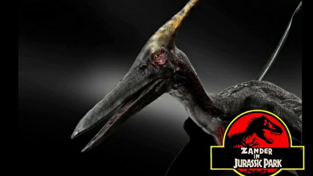 Zander in Jurassic park: Pteranodon sound effect