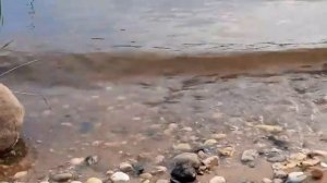 мой вебинар