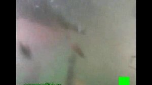 Трехлучевой кавитирующий пистолет