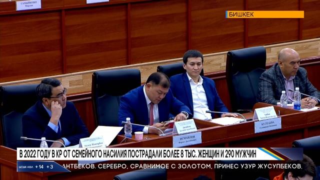 В 2022 ГОДУ В КР ОТ СЕМЕЙНОГО НАСИЛИЯ ПОСТРАДАЛИ БОЛЕЕ 8 ТЫС  ЖЕНЩИН И 290 МУЖЧИН
