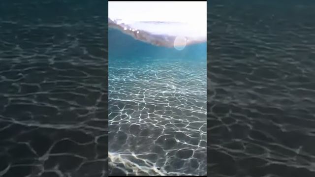 НОВЫЕ ЧУВСТВА | Светлана Новая смотреть онлайн