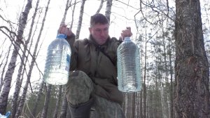 БЕРЁЗОВЫЙ СОК КАК ИЗ ПОД КРАНА! СНЕГ И ЗЕЛЕНЬ! БАБУШКА ОЦЕНИЛА!