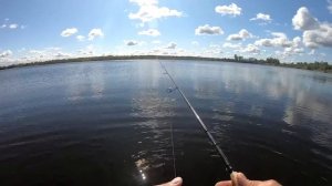 Эти Хитрости помогут поймать щуку каждому! Техника ловли с берега!