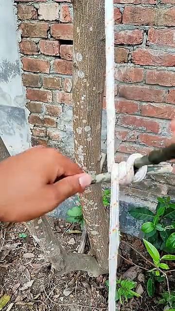 Popular tension system for 500 years! do you know