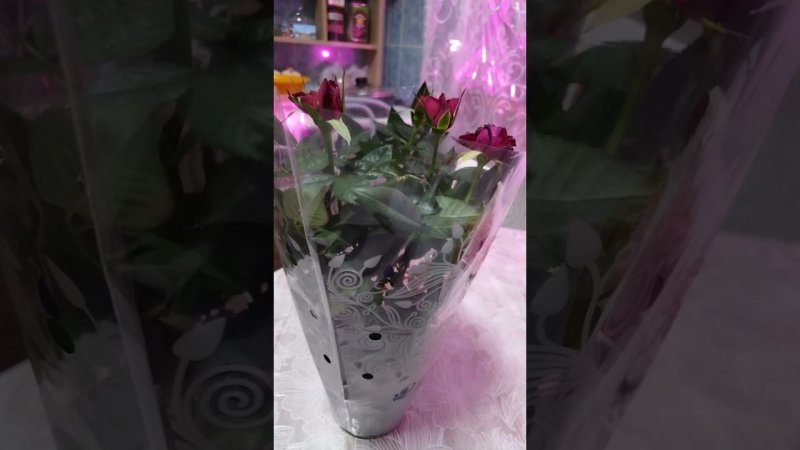 Поздравляю свою любимую сестрёнку с Днём рождения!
