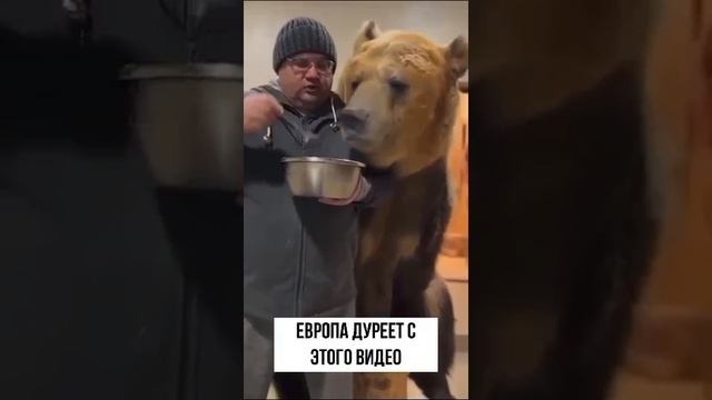Мишка.