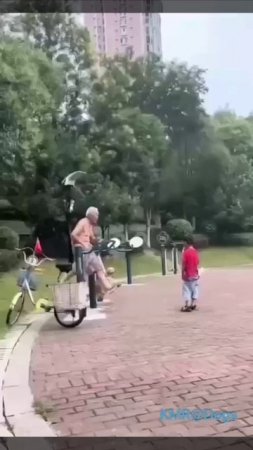 Собачкам качелька, а себе здоровье💪🥰 ( видео про собак )