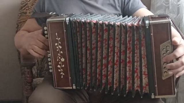 Гармонь 50-х
