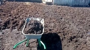 Почему мы продаем молоко