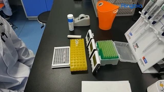 Ringbio Beta-Lactams+Tetracyclines BT Combo Test Kit