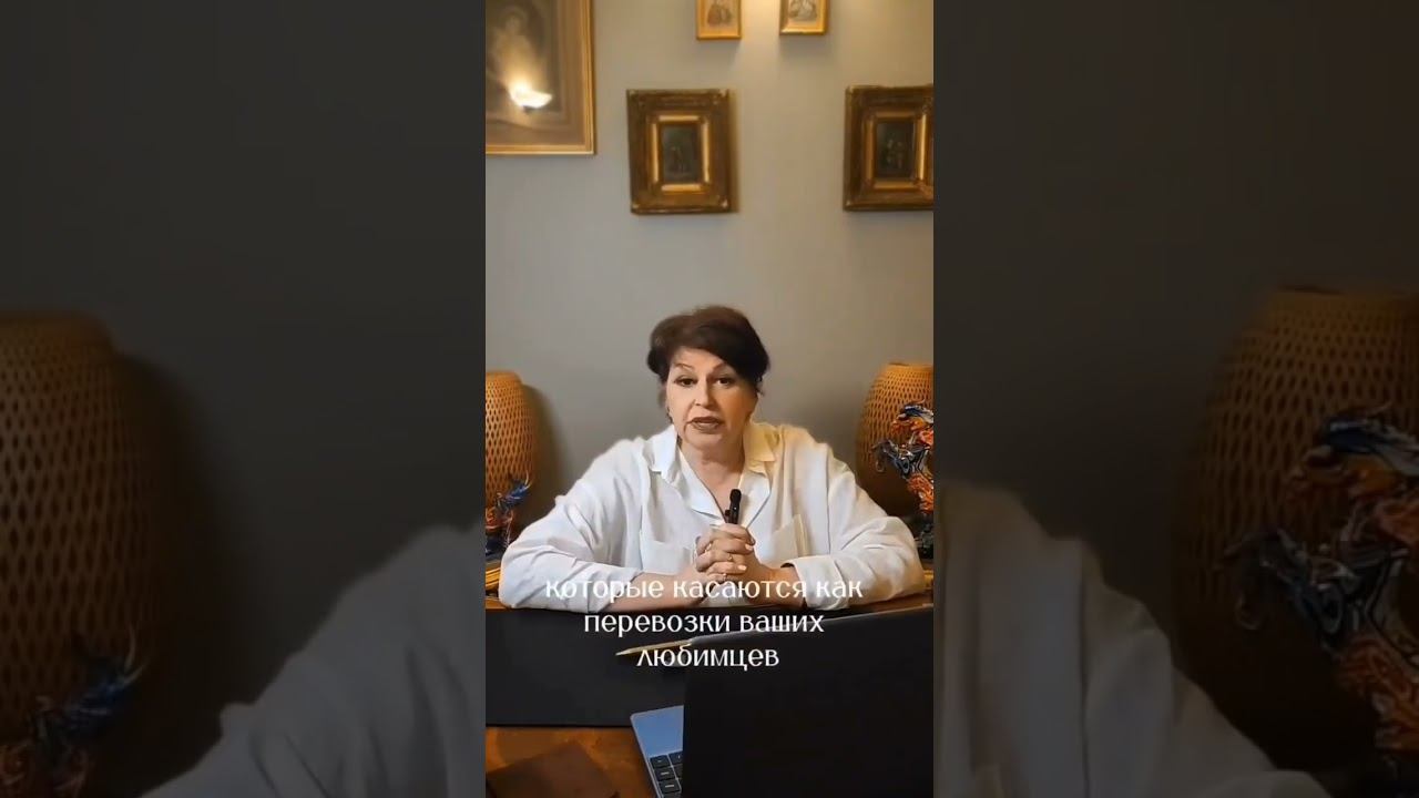 ПЕРЕВОЗКА ДОМАШНИХ ЖИВОТНЫХ В ЕВРОПУ #иммиграция #переезд #животные #россия #франция
