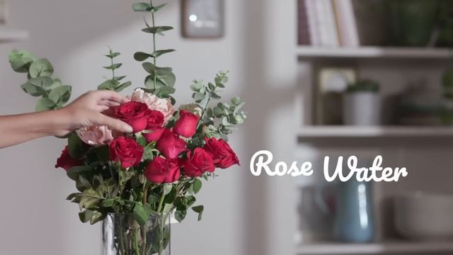 Natural Skincare Ingredients | Make your own ALOE VERA GEL, RICE WATER, ROSE WATER & ONION JUICE!
