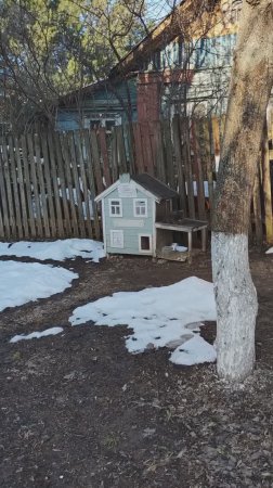 Кошкин дом