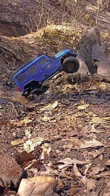 Выгуливаем RGT EX86100 в лесу #rc #rccar #crawler #4x4rc #scale #rclife #rgt #rgtrc #rcfun #jeep