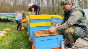 Пасеки Бодян: Весенние работы 2024. Установка сборников пыльцы.