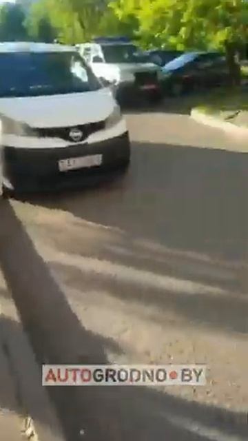 Парня забрали в милицию за негуманное обращение с собакой - Гродно 2022 смотреть онлайн