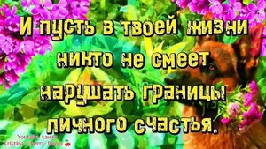 28 Мая ДЕНЬ ПОГРАНИЧНИКА 2025 🕊️ ПЕСНЯ! Супер Поздравление С Днём Пограничника 2025