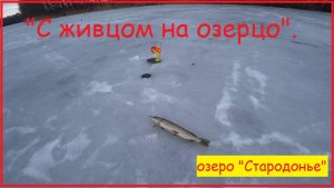 "С Живцом на озерцо", озеро "Стародоье".