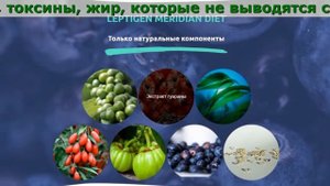 Лептиген Меридиан Диет Купить В Москве, СПБ, Владивостоке