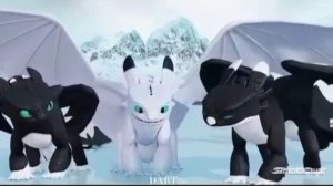 Эдит ночных сияний