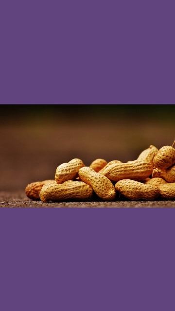 curiosidades sobre el maní смотреть онлайн