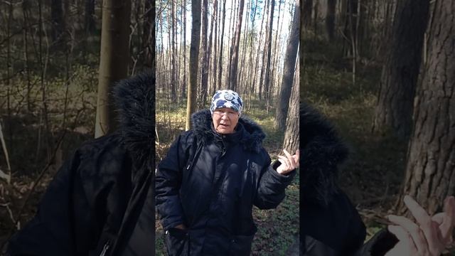 ПРОДОЛЖЕНИЕ  ХРОНИКИ ЛЕСА ИМАНТЫ.авторы видео Тамара и Ольга Ушаковы