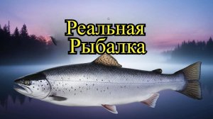 Реальная рыбалка, задание Степаныча