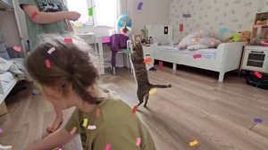 У нашего кота Васьки др!