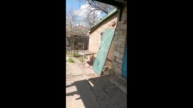 Обзор участка