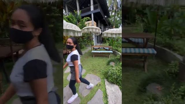 REKOMENDASI CAFE DI UBUD, BALI . Part 1🌴🌞☕️🍕🥗
