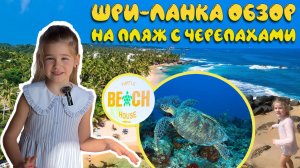 Шри-Ланка 🇱🇰 пляж черепах обзор