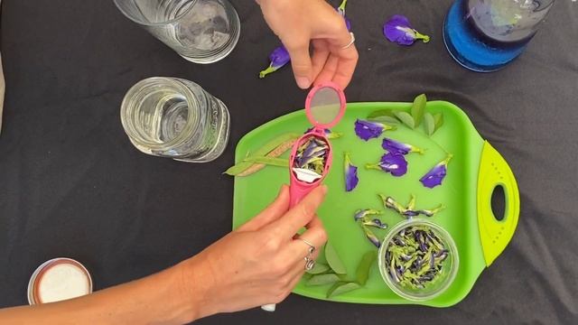 💡DID YOU KNOW: Butterfly Pea is a magic plant? ✨ смотреть онлайн