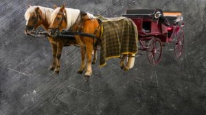 Tushda Ot arava Ko'rish Tabiri