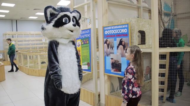 Петрушка от ШКИТ "Страна Чудес! " смотреть онлайн