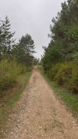 Весна-художник уже взялась за кисти в Кисловодском парке!
