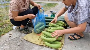 Harvest the garden of squash and melon and bring it to the market to sell l Lý Thị Sai