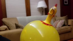 Rubber Chicken Strikes Back