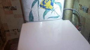 Замена Арматуры в смывном бочке унитаза .