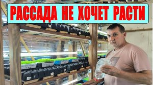 РАССАДА ТАБАКА не хочет расти. Что-то с этим надо делать. Отправляем посылки. Наша ЖИЗНЬ В ДЕРЕВНЕ.