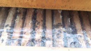 Передвижная пасека. .mp4