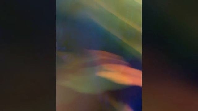 Смешные видео, весёлые шортсы