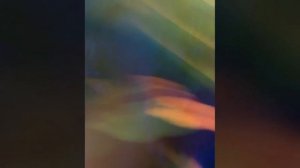 Смешные видео, весёлые шортсы