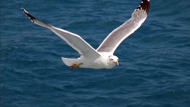 Путешествие из зимы в лето смотреть онлайн