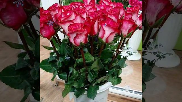 цветы. букеты на заказ смотреть онлайн