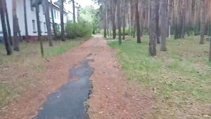 Обзор Базы Отдыха ПРИИРТЫШЬЕ в Омске Часть 2